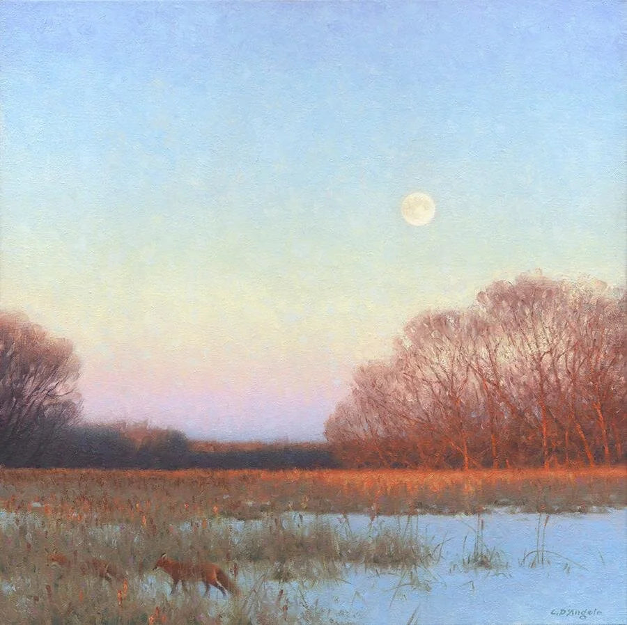 Sunrise over the Marsh