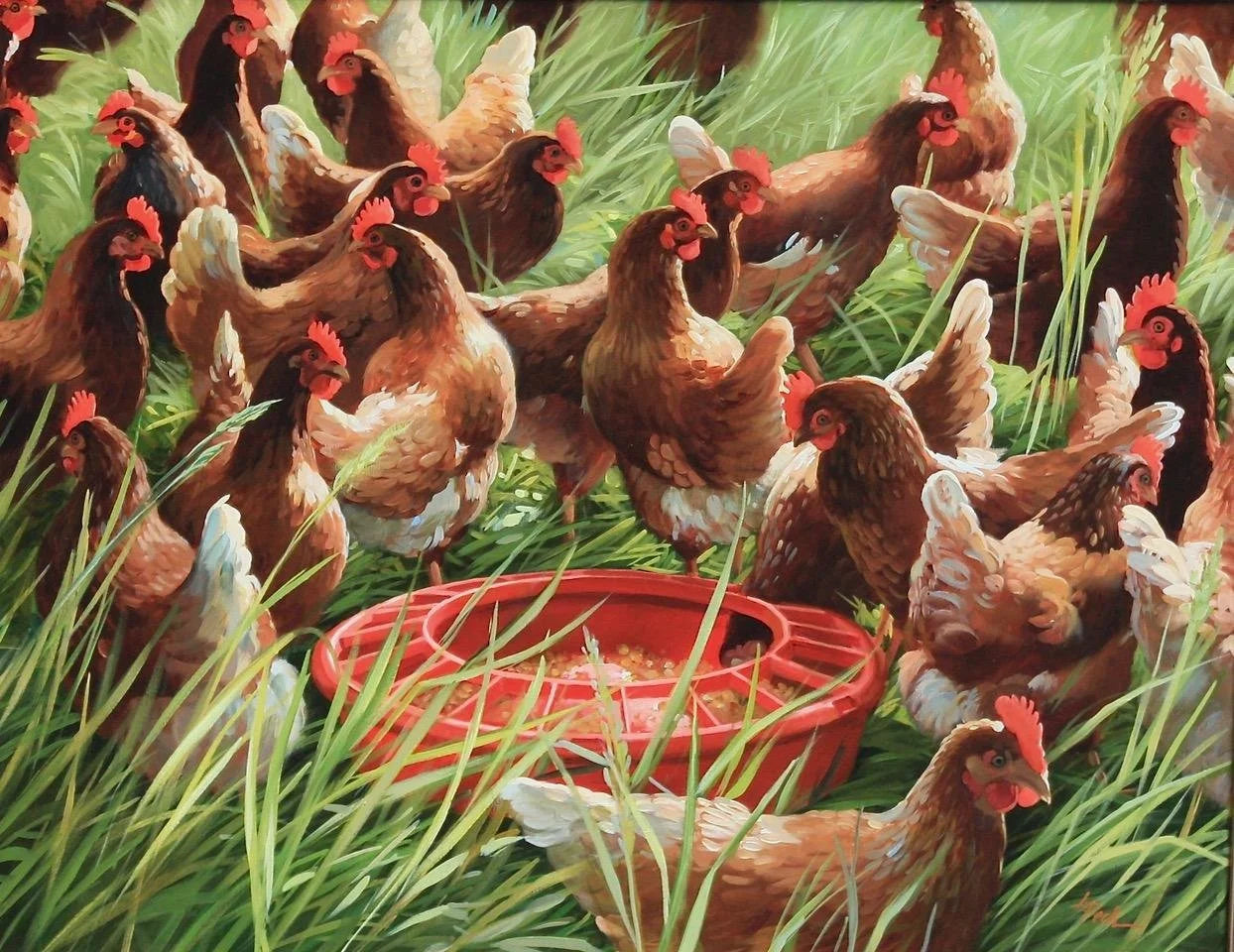 Supper Time