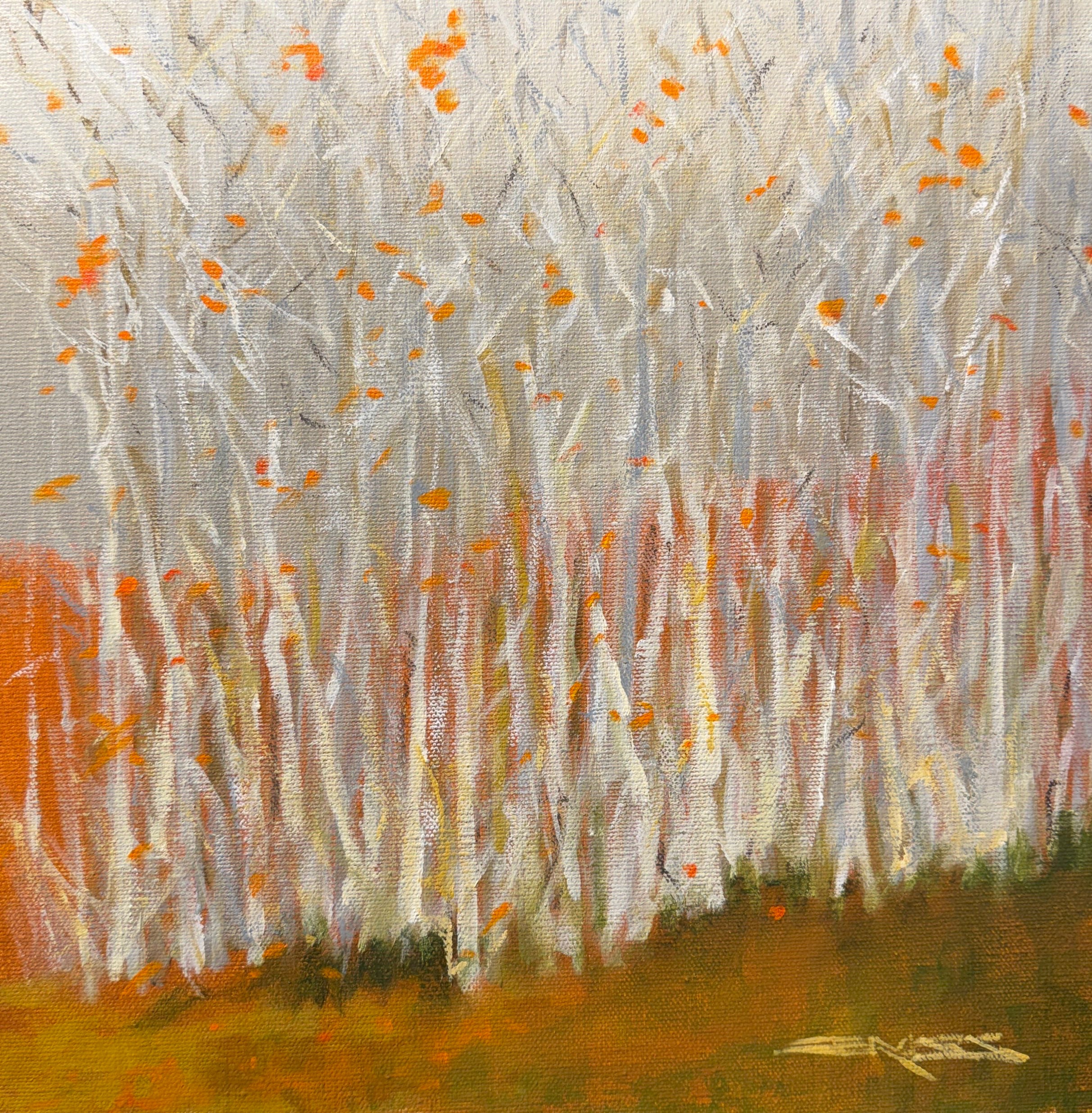 Thick Autumn Woods