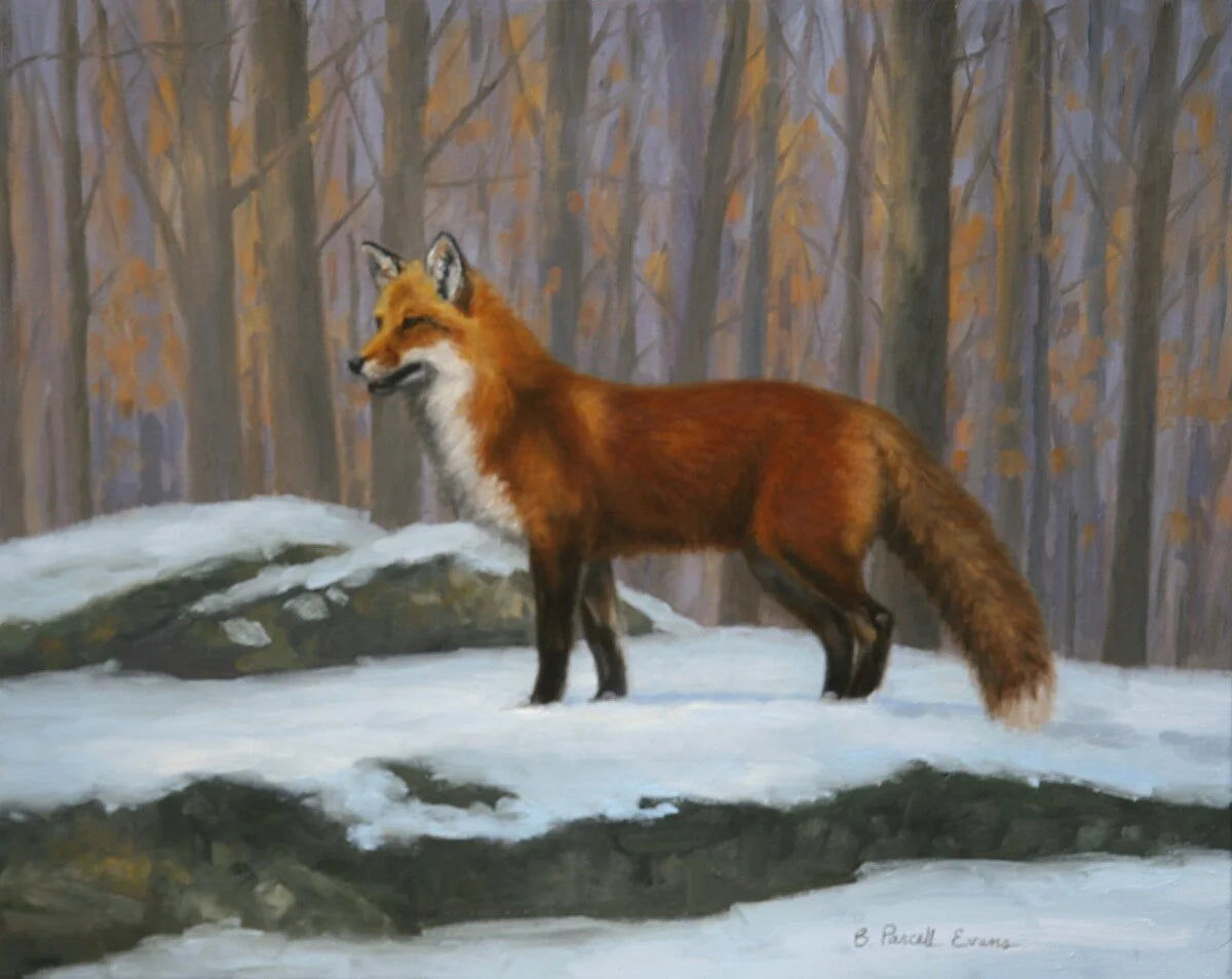 Vibrant Winter Coat