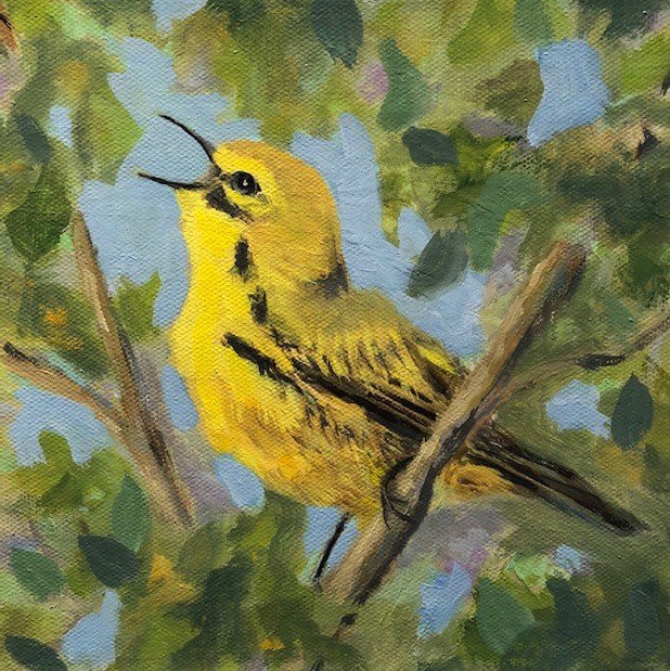 Warbler on the Prairie