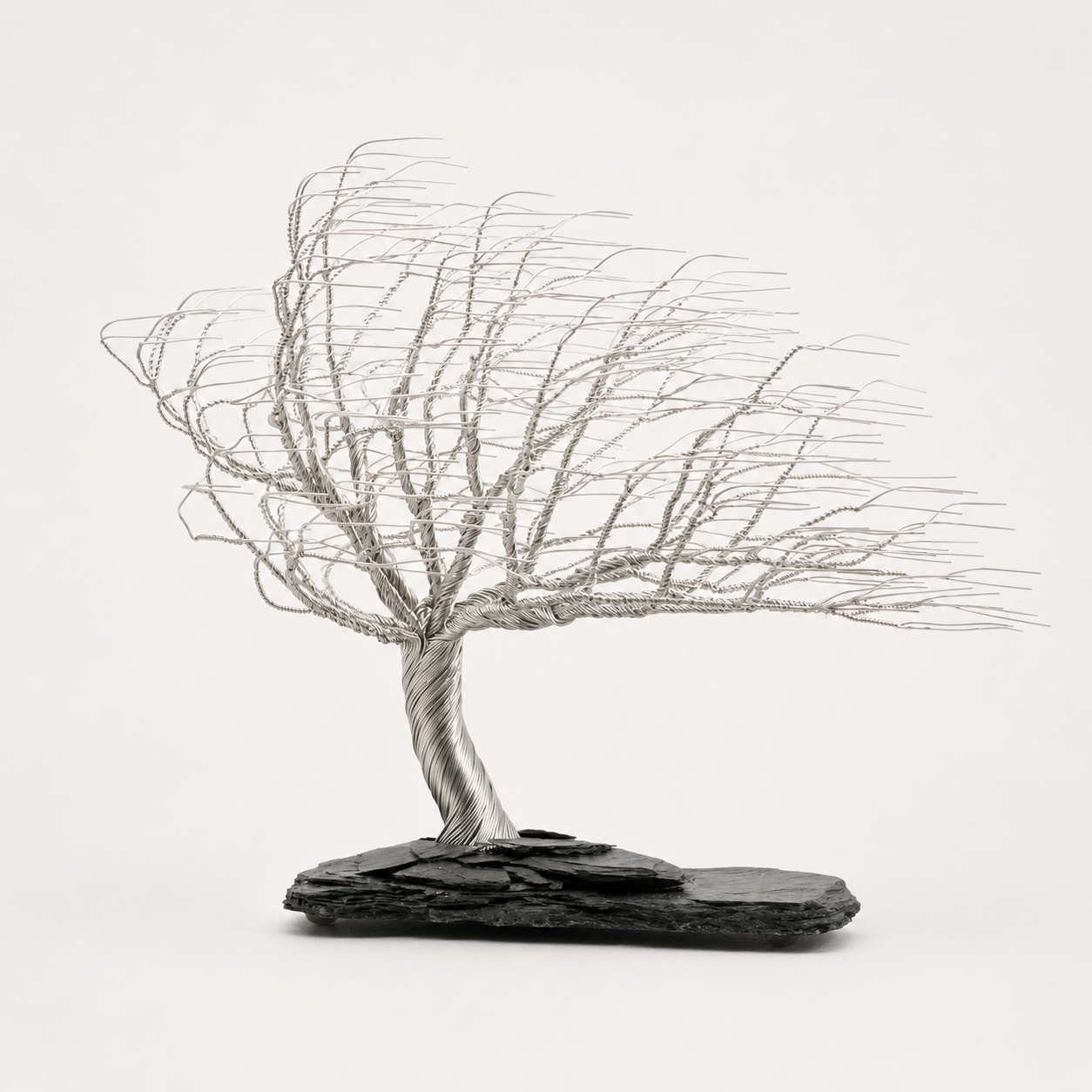 Silver Windblown Tree