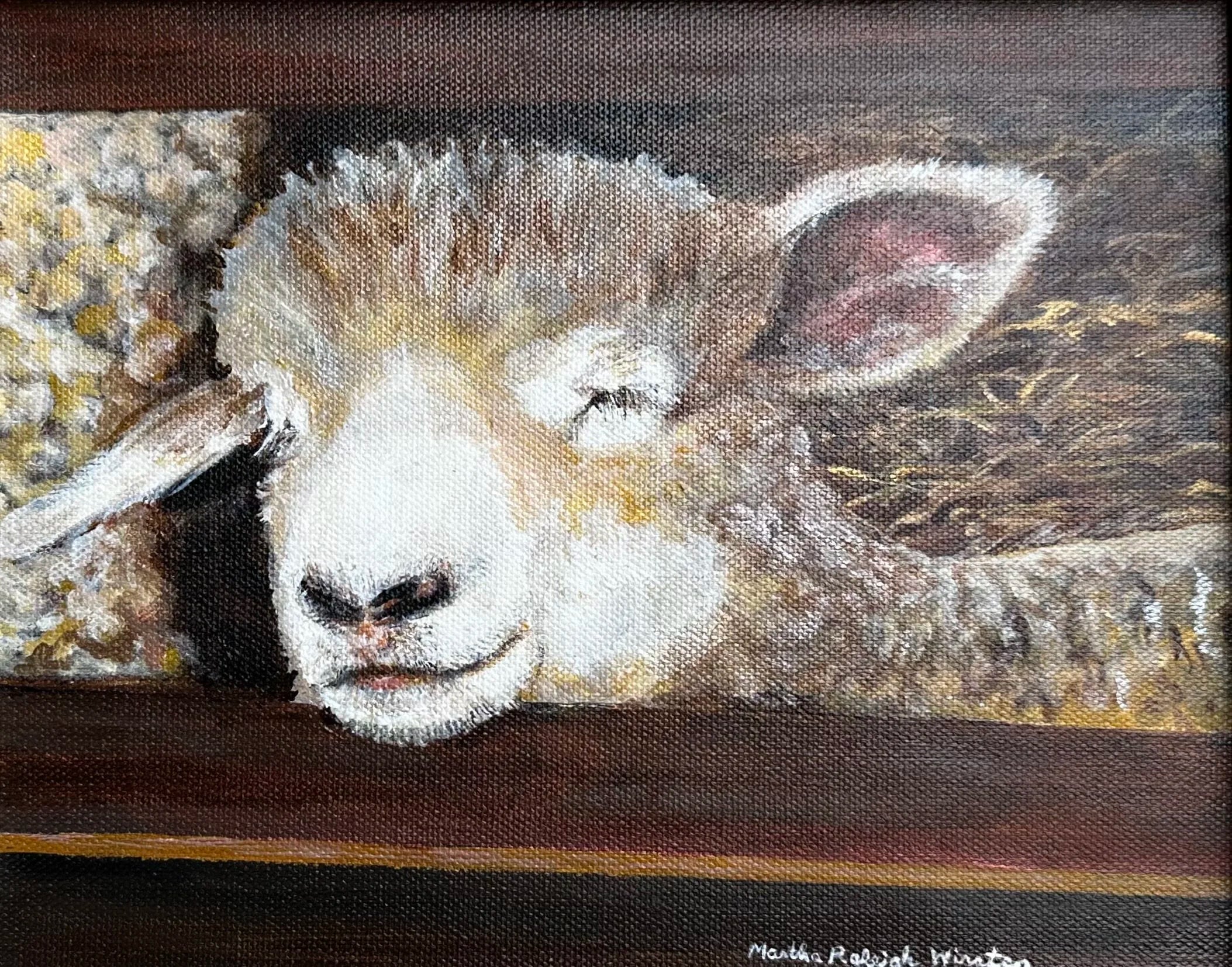Nap Time at Crazy Legs Farm