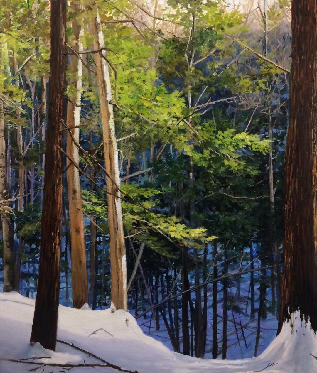 Winter Walk