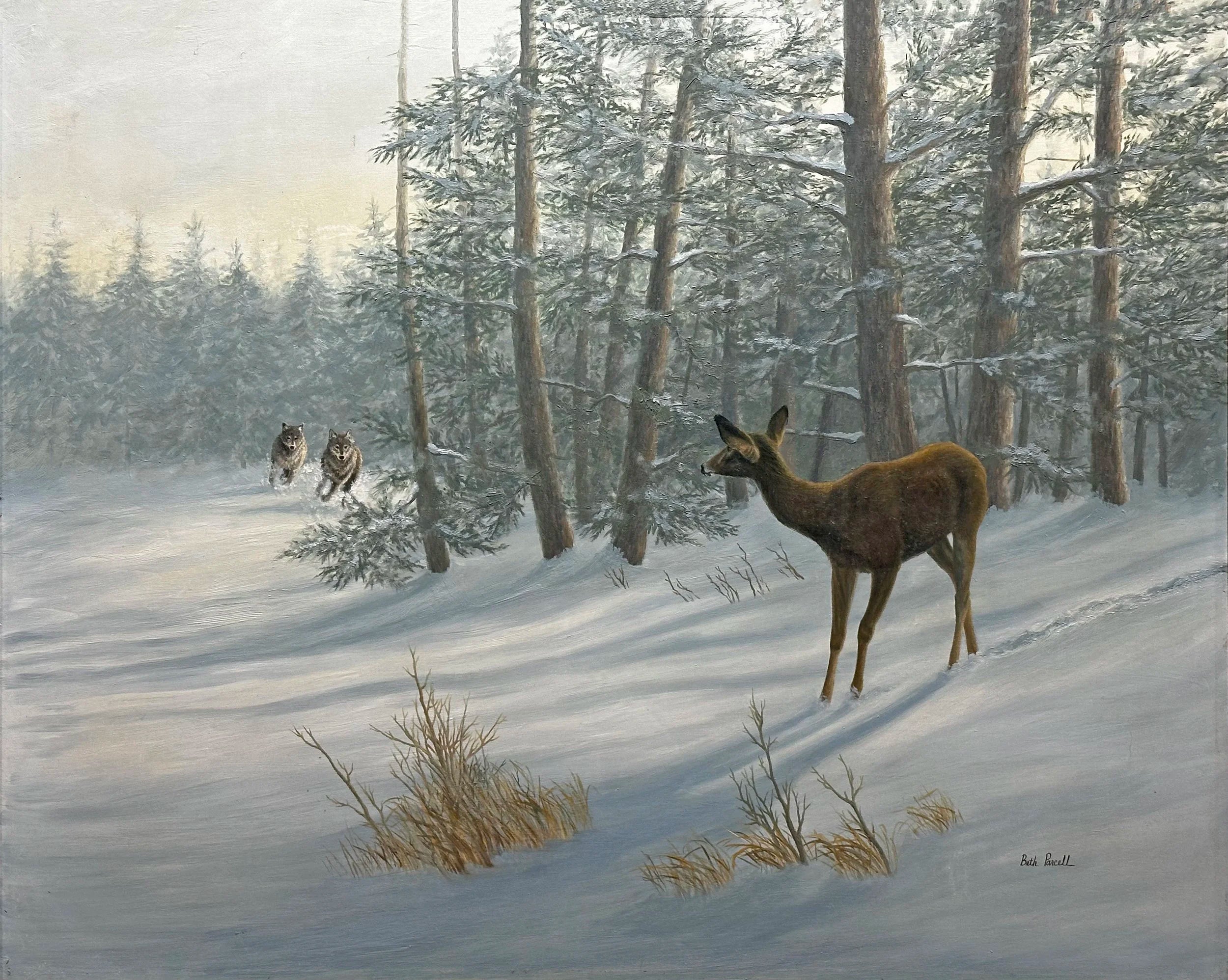Winter Dawn