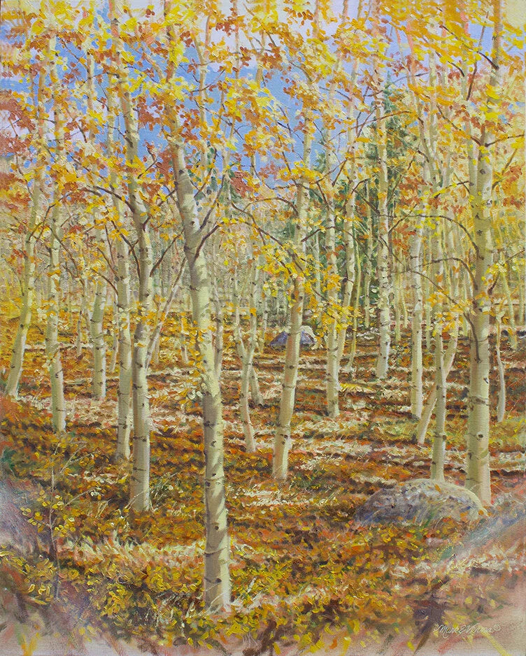 Wondrous Woods