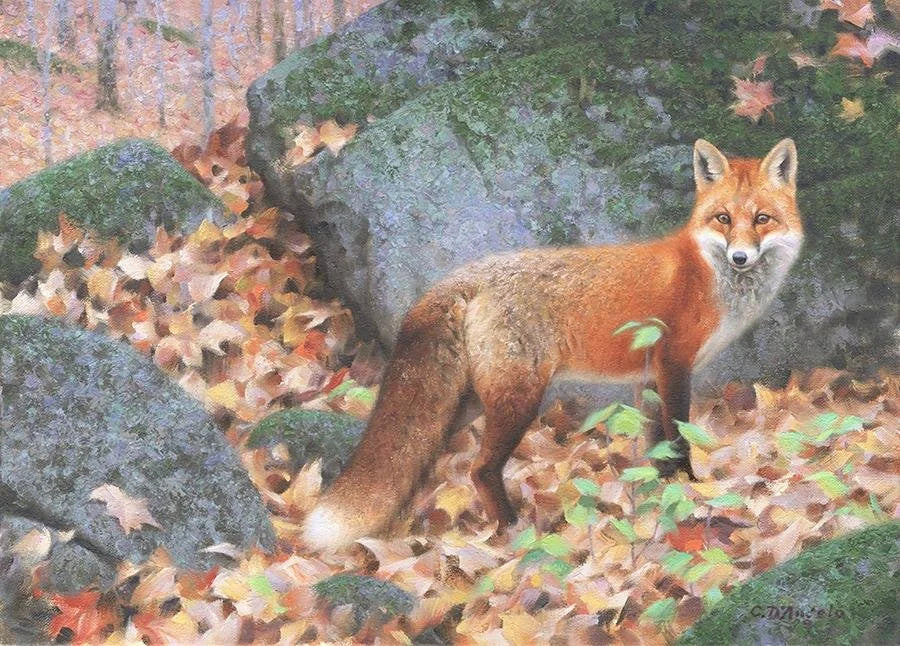 Woodland Fox