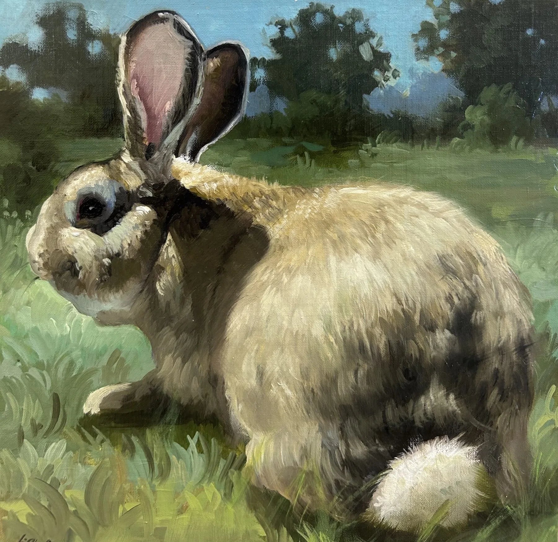 Sunny Bunny