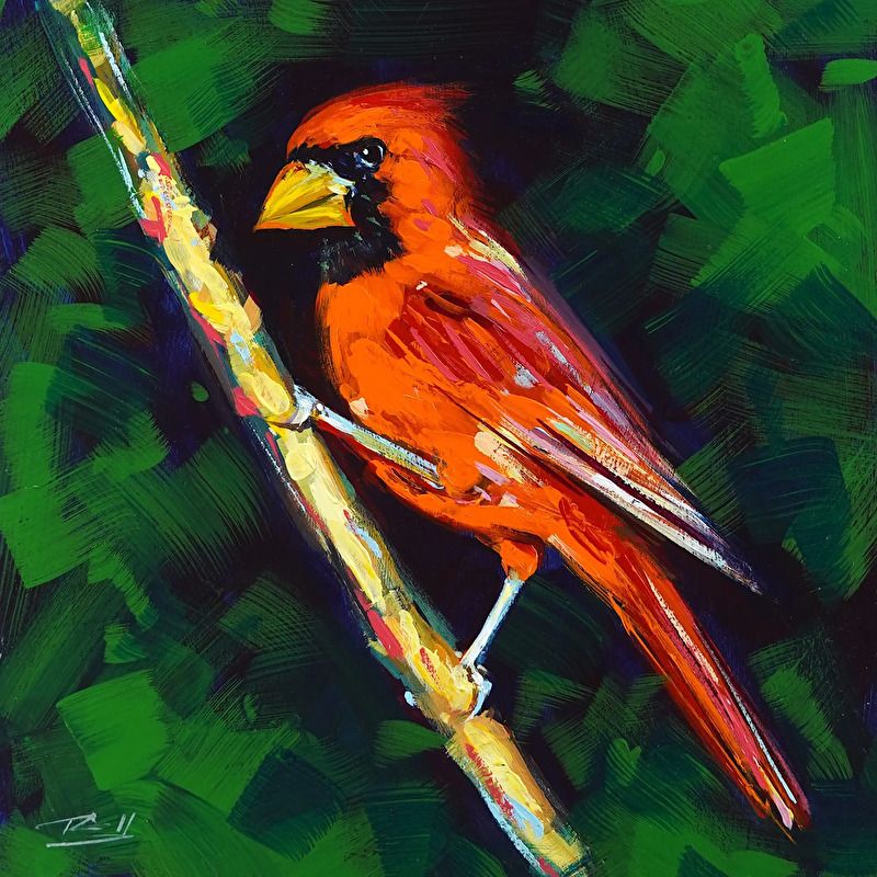Bold Cardinal