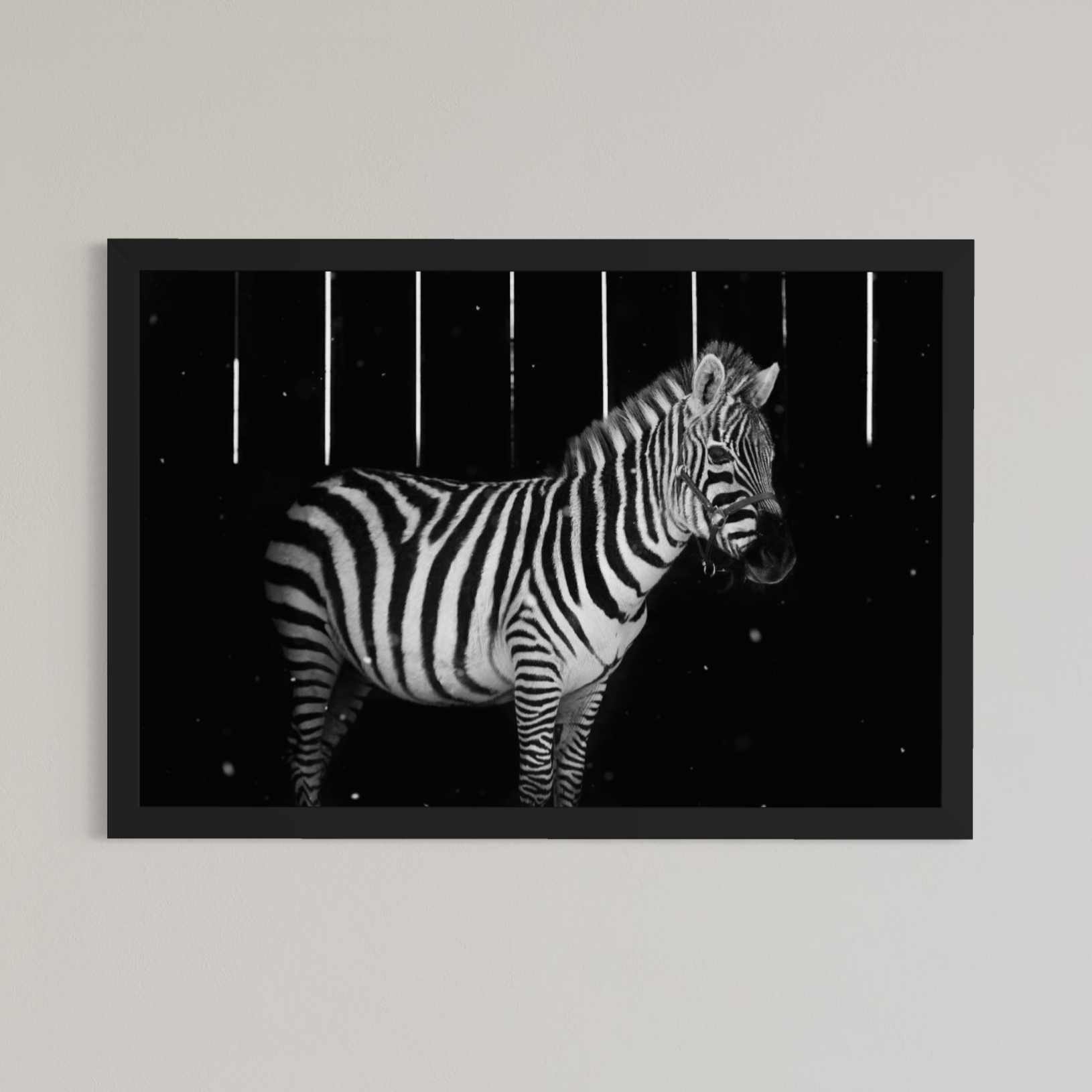 Contrasting Stripes