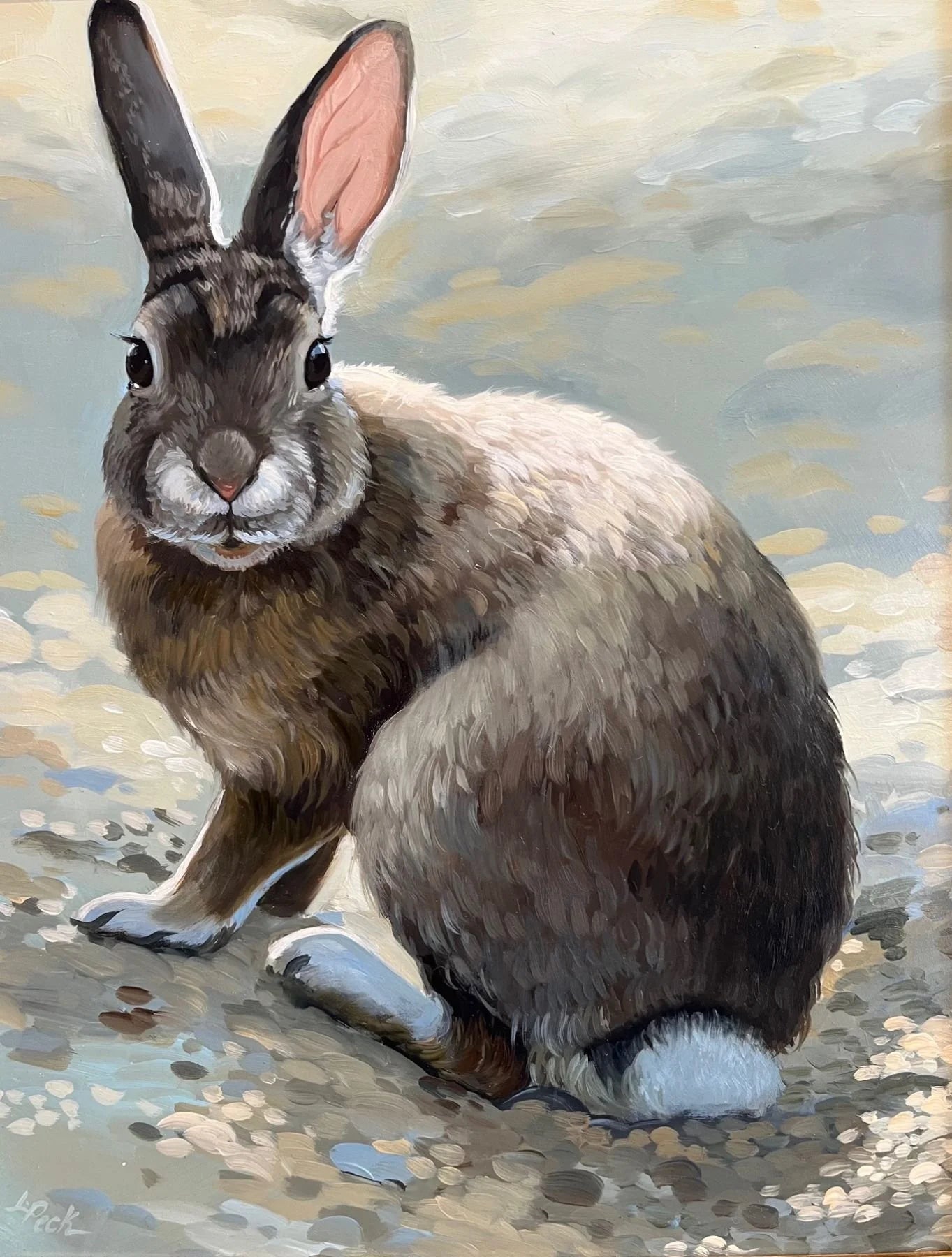 Wild Rabbit