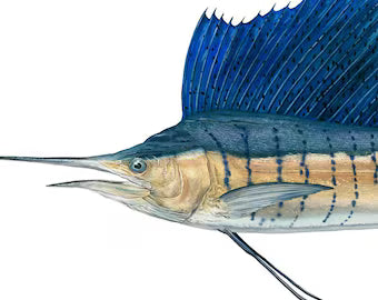 Fish Book