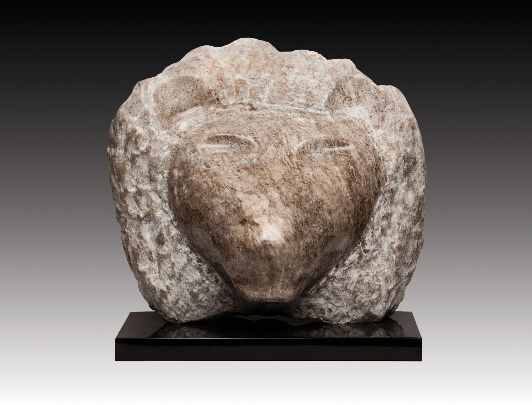 Lion Head II