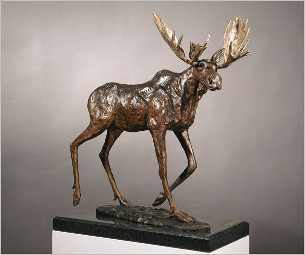 Bull Moose