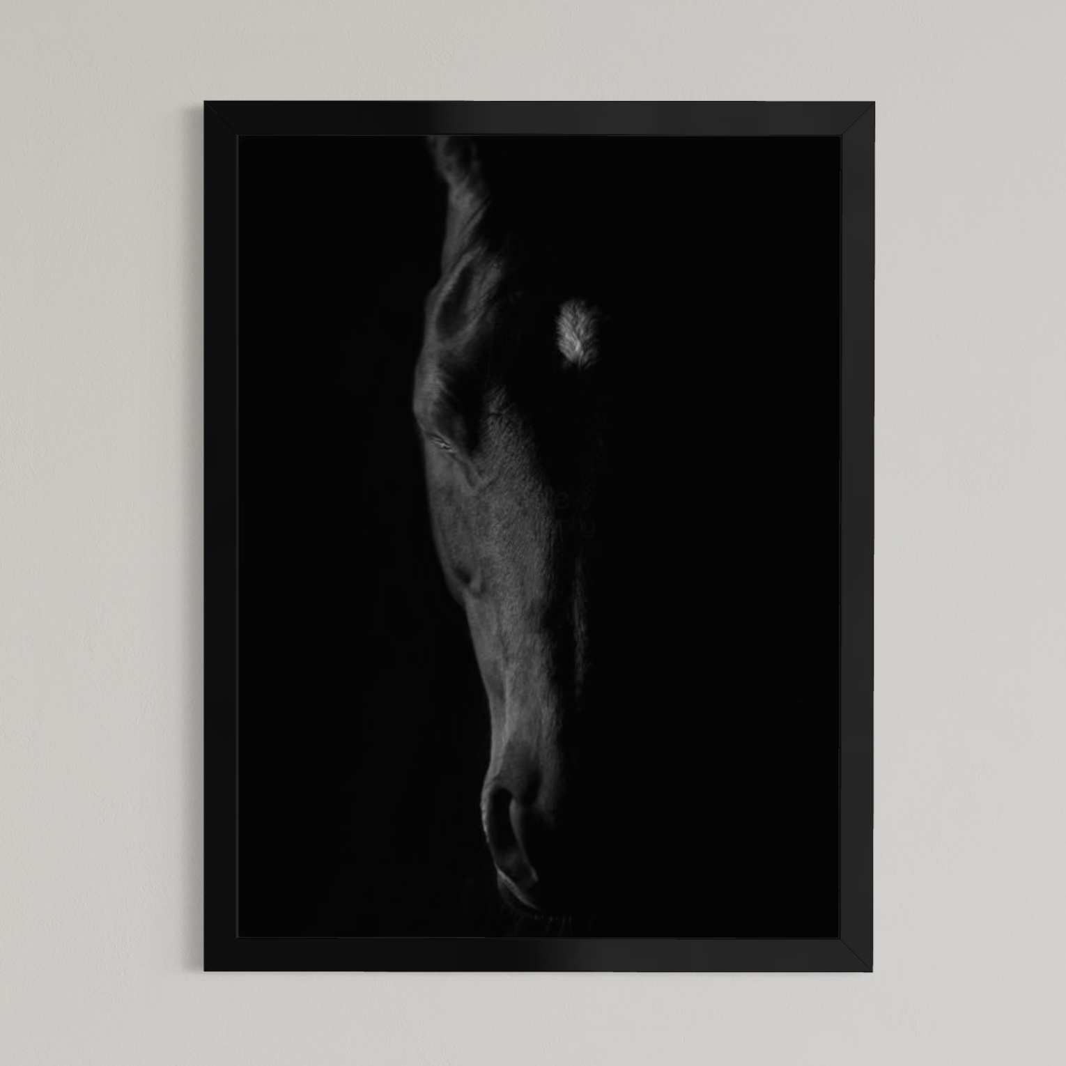 Shadow