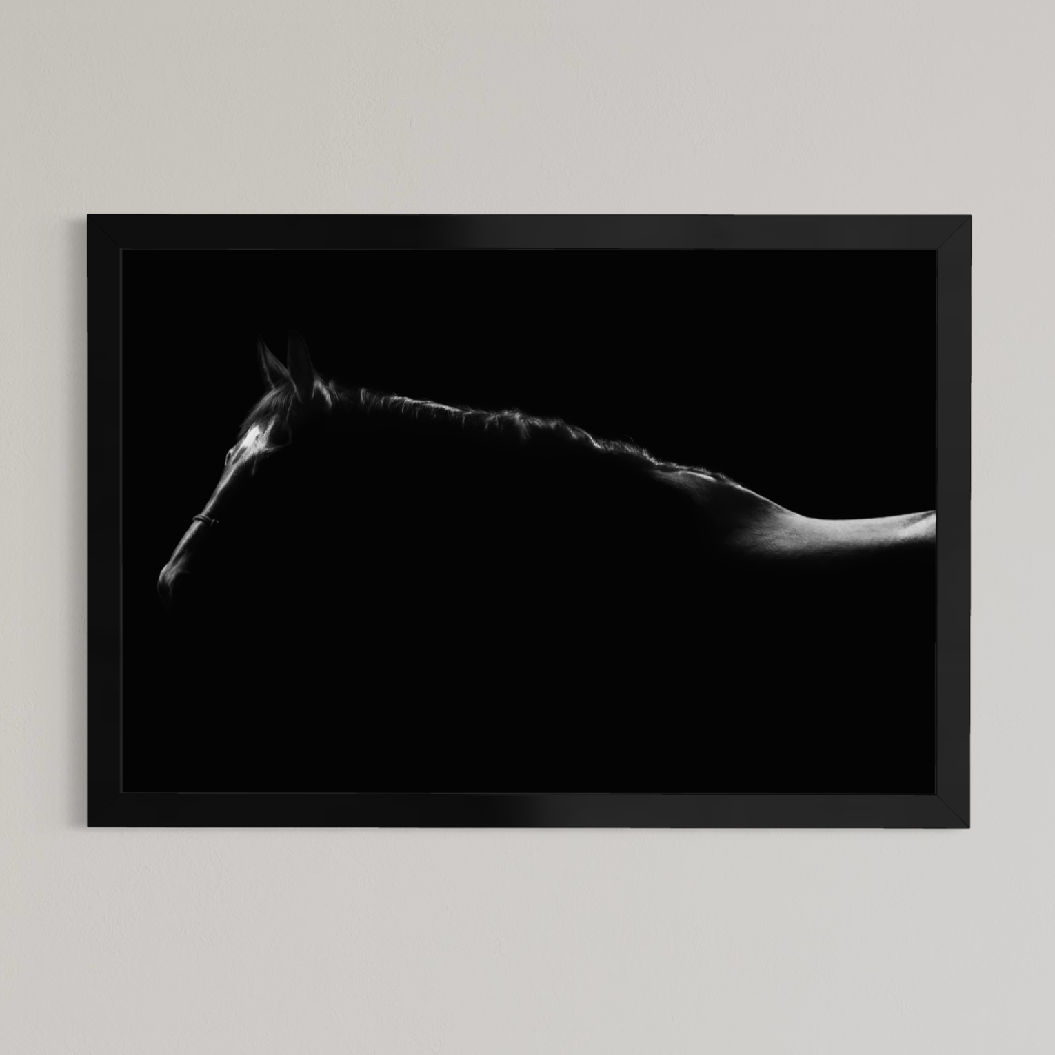 Silhouette