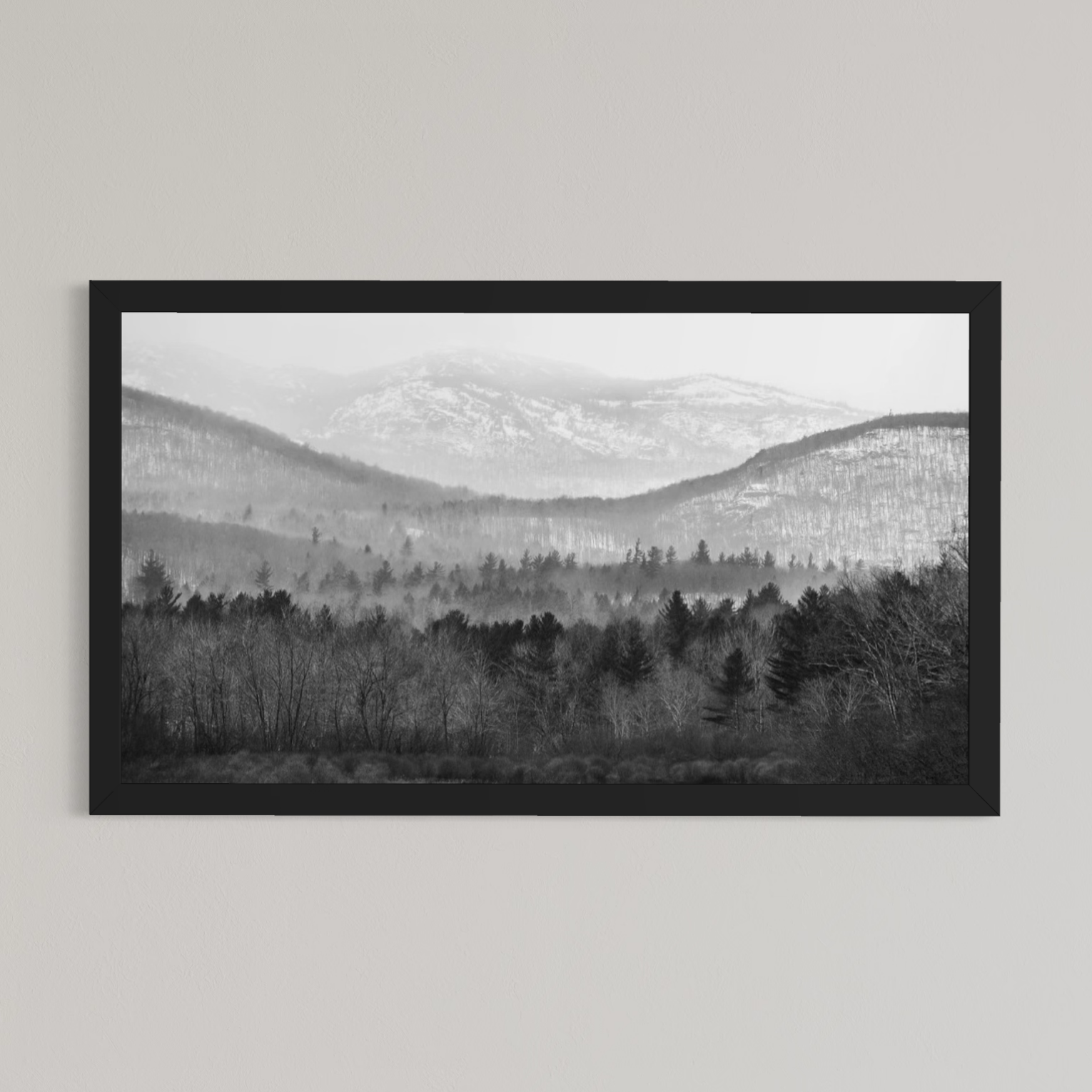 Upstate Winter