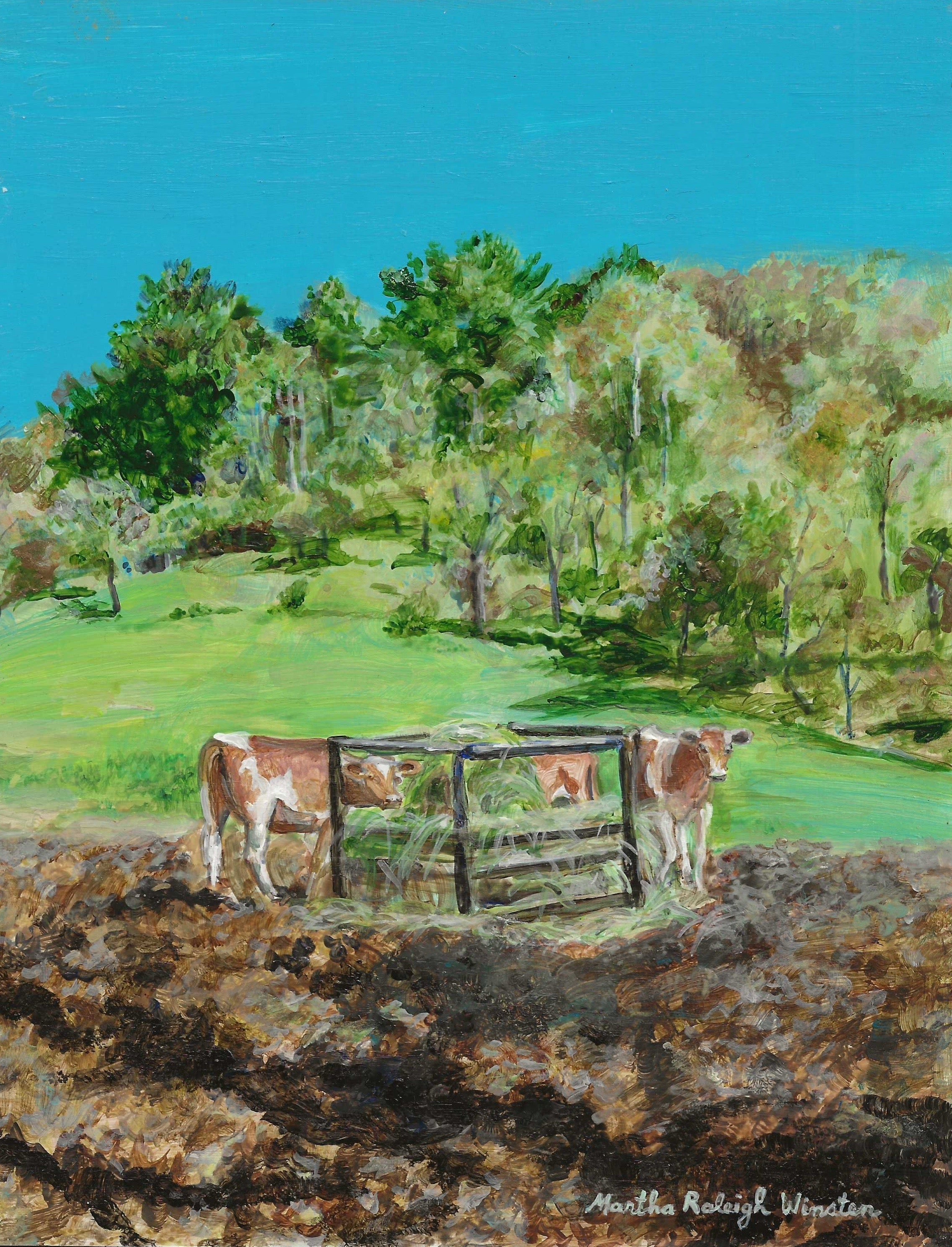 Washington County Cows