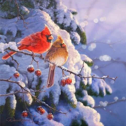Winters Gift II